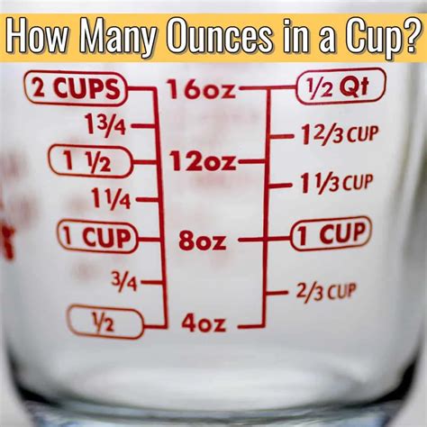 How Many Cups in 20 Ounces? Find Out!