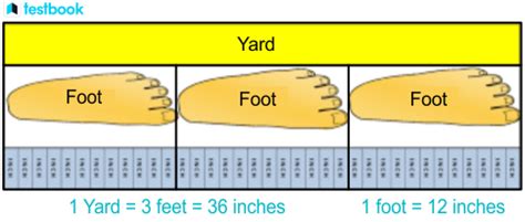 How Many Feet in 30 Yards: A Quick Conversion Guide