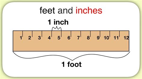 Quick Answer: Inches in a Foot?