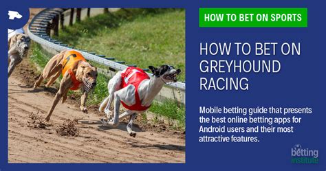 How To Bet On Greyhound Racing Dog Betting Tips Guide How To Bet On Greyhound Racing Dog Betting Tips Guide