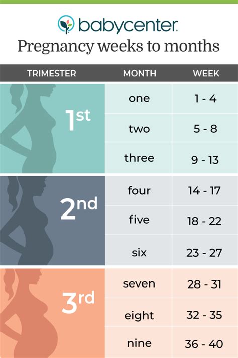 How To Count Your Pregnancy In Weeks And Months Babycenter