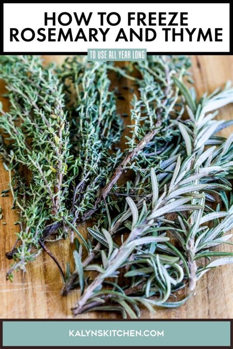 How To Freeze Rosemary And Thyme Kalyn S Kitchen