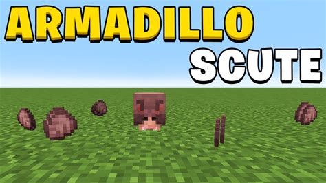 How To Get Armadillo Scutes In Minecraft