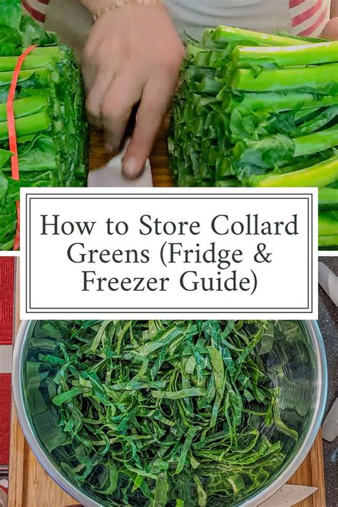 How To Store Collard Greens Fridge Freezer Guide Just Maika Cooking