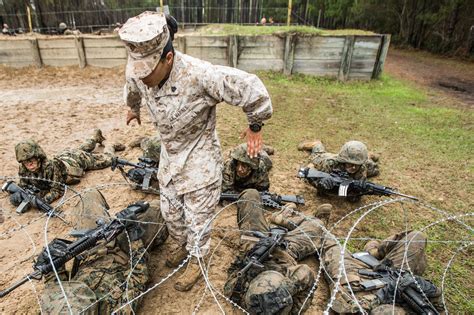 How To Survive Marine Corps Basic Training
