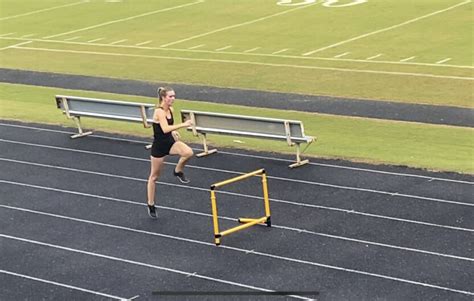 Hurdles Letters To Biddy