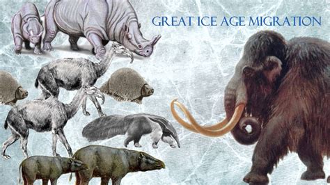 Ice Age Animals In Real Life Part 2
