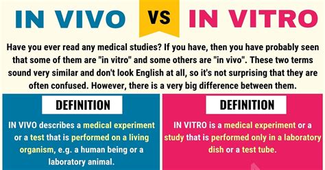In Vitro vs In Vivo: Key Scientific Insights