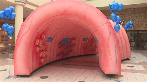 Inflatable Exhibit Aims To Spread Awareness About Colon Cancer Inflatable Exhibit Aims To Spread Awareness About Colon Cancer
