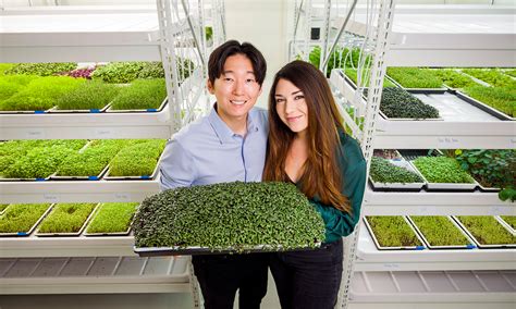 Top 10 Irvine Jobs for Career Growth