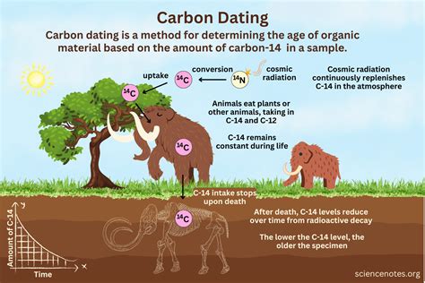 Is Carbon Dating Accurate