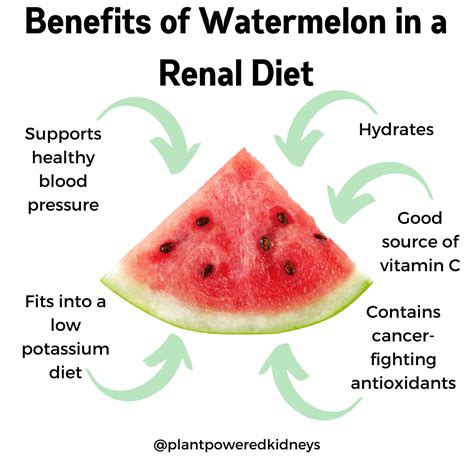 Is Watermelon Good For Kidney Patients The Pros And Cons