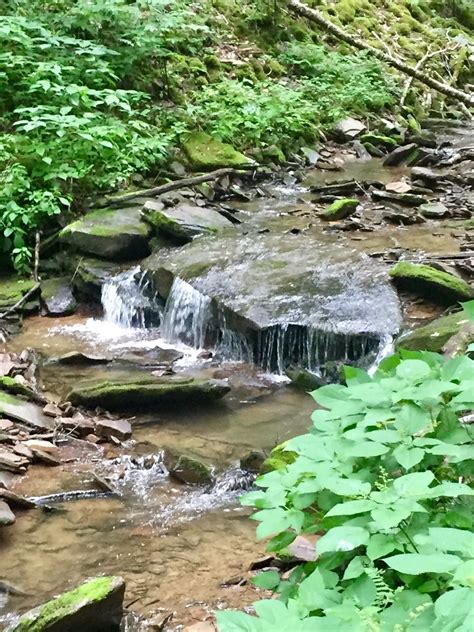 Laurel Fork Va Population At Lorenzo Marrs Blog