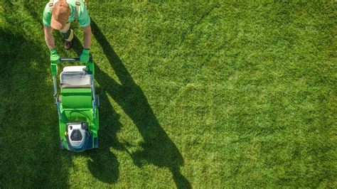 Lawn Maintenance James Wayne Properties
