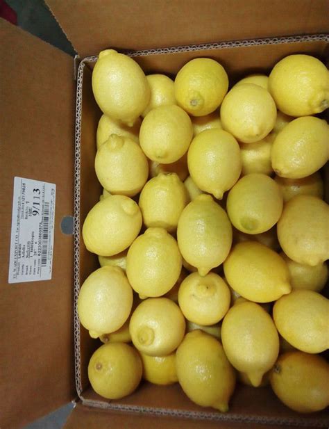 Lemons Wholesale Price