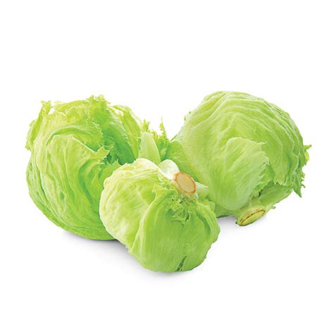 Lettuce Iceberg Price