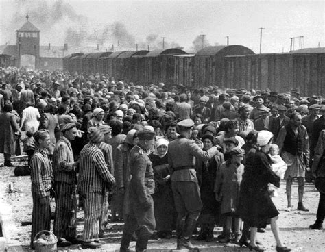 Liberation Of Auschwitz Concentration Camp