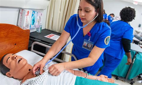 Licensed Vocational Nursing L V N Program Brazosport College