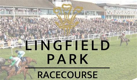 Lingfield Racecourse Horse Racing Tips