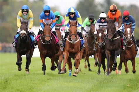 Looking Back On A Century Of World Class Horse Racing For A Good Cause At Far Hills Race Meeting Jersey S Best