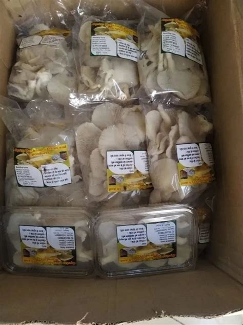 Madhya Pradesh India 200G Oyster Mushroom Fresh Packaging Type