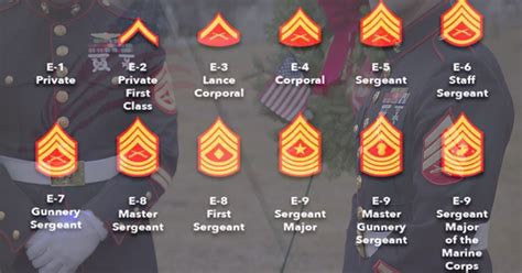 Marine Corps First Sergeant Military Ranks