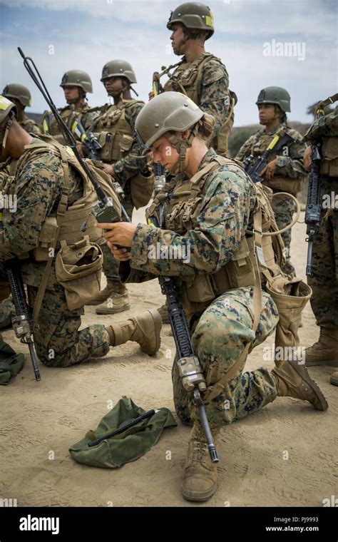 Marine Corps Infantry Training Length At Jill Sapp Blog