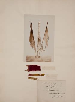 Mhs Collections Online Three Flags Of The 54Th Massachusetts Volunteer