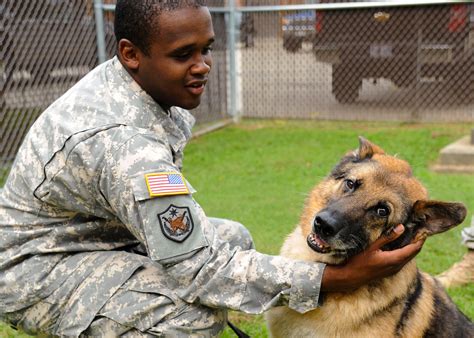 Military Working Dog Adoption