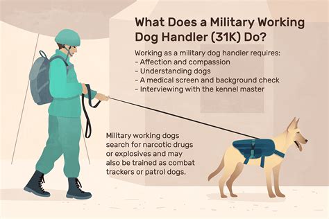 Military Working Dog Handler 31K Job Description Salary Skills More