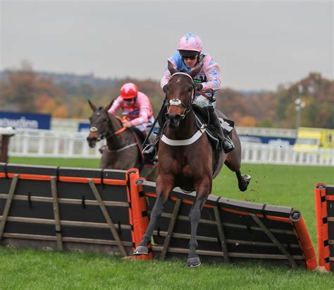 My Racing Tips Myracingtips Highlights X