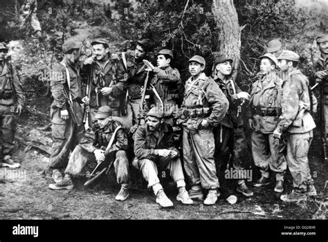 National Liberation Front: Unraveling Historical Movements and Modern Implications