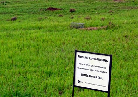 New Technology For Us Listen To The Article Prairie Dog Removal At