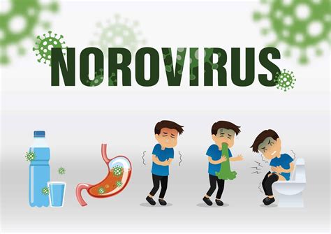Norovirus Symptoms And Prevention Of Amp 39 Stomach Flu Amp 39