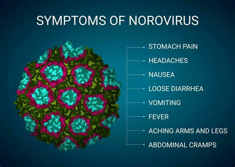 Norovirus Symptoms Illustration Medical Infographic 32619228 Vector