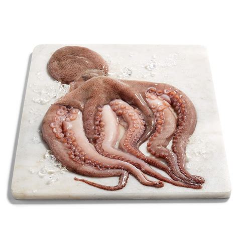Octopus Whole Egmont Seafoods