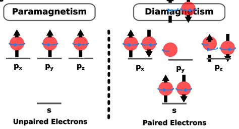 Paramagnetic vs Diamagnetic: Unveiling Magnetic Mystery