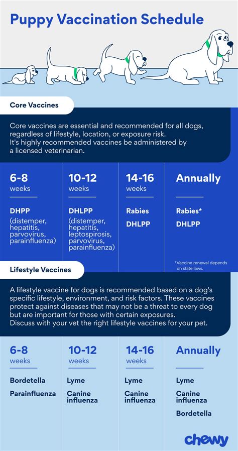 Parvo In Dogs With Vaccinations