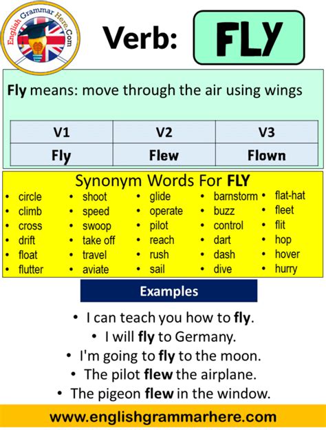 Past Tense of 'Fly': Quick Verb Insight