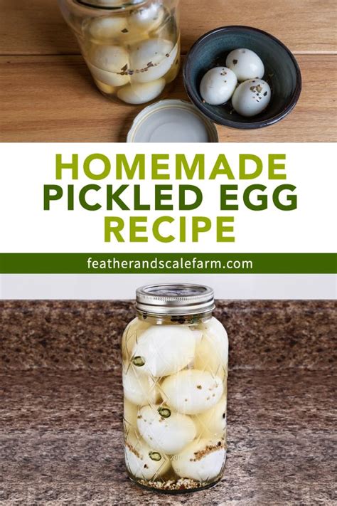 Penrose Pickled Eggs Recipe At Weston Donahue Blog