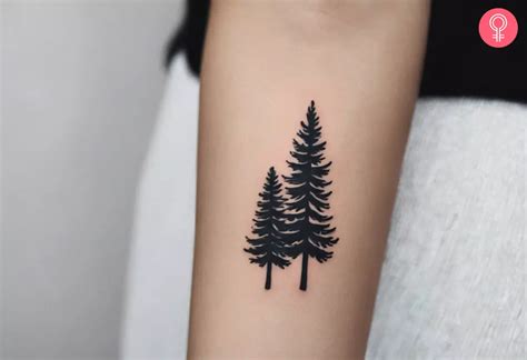 Pine Tree Tattoo 8 Stunning Designs For Strength Amp Serenity Pine Tree Tattoo 8 Stunning Designs For Strength Amp Serenity