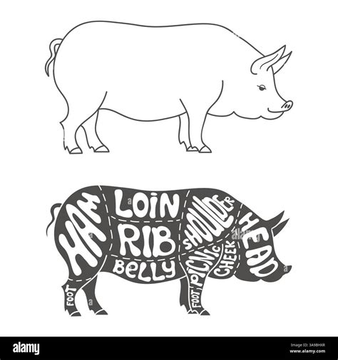 Pork Cuts Diagram Hand Drawn Butcher Cuts Scheme Stock Vector Image