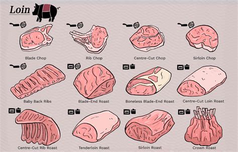 Pork Cuts Explained Ultimate Guide To Different Cuts Of Pork