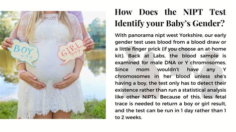 Ppt What Is A Nipt Test How Does The Nipt Test Show Gender Ppt What Is A Nipt Test How Does The Nipt Test Show Gender