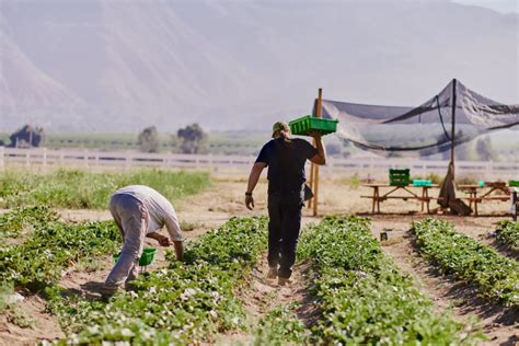 Preserve Agricultural Land Soils Invest In Long Term Food Production