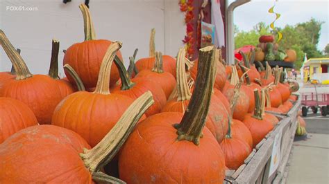 Pumpkintown Returns For More Fall Fun In East Hampton