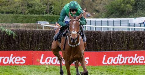 Punchestown 2017 Recap Follow Latest Results Tips And Odds From Day Two Of The Festival Irish Mirror Online