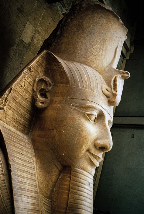 Unraveling Mysteries of Ramesses the Great