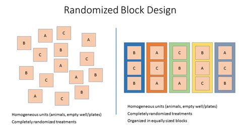 Mastering Randomized Block Design for Data Precision