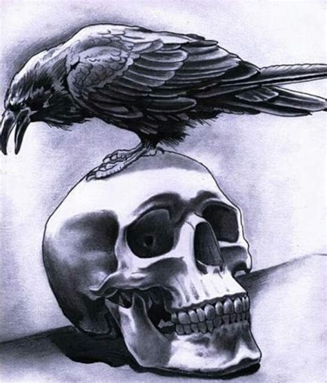 Raven On A Skull